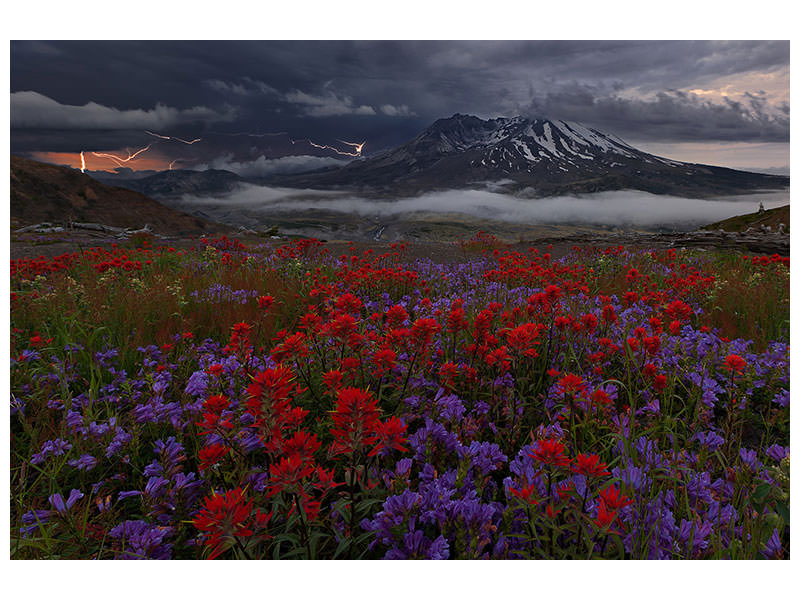 canvas-print-apocalypse-now