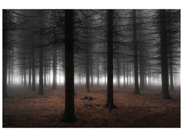 canvas-print-silence-ii