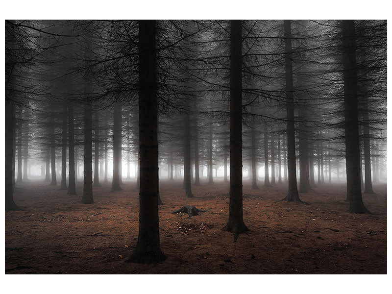canvas-print-silence-ii
