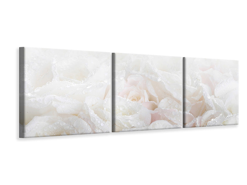 panoramic-3-piece-canvas-print-white-roses-in-the-morning-dew