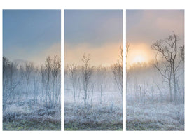 3-piece-canvas-print-a-touch-of-winter