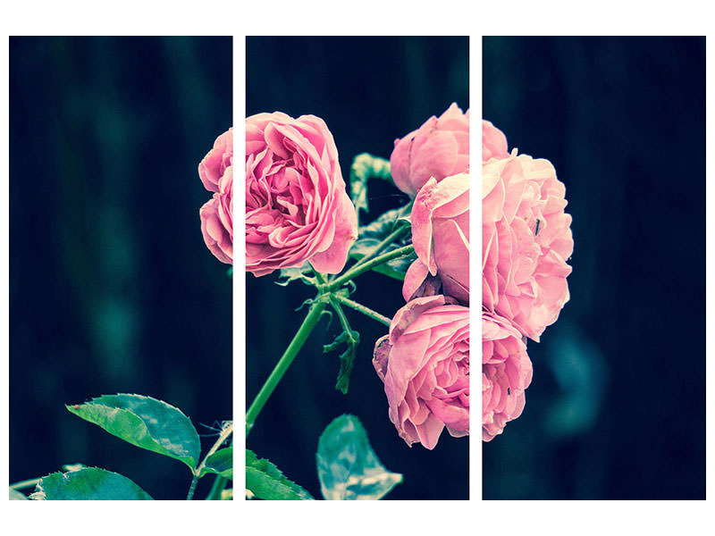 3-piece-canvas-print-beautiful-pink-roses