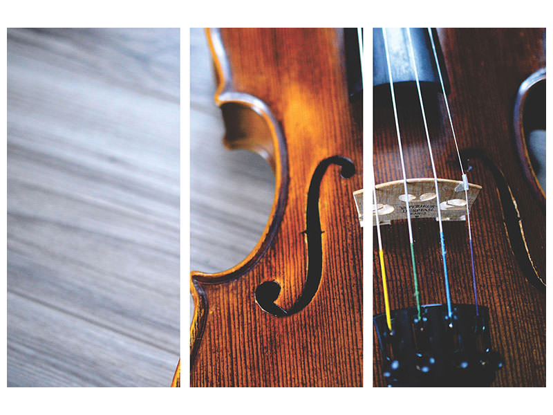 3-piece-canvas-print-close-up-violin-ii