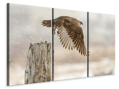 3-piece-canvas-print-flight-against-the-snowstorm