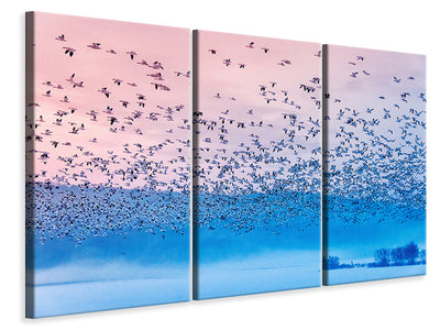 3-piece-canvas-print-flying-in-the-fogging-morning