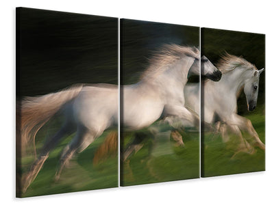 3-piece-canvas-print-gallop-for-two