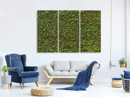 3-piece-canvas-print-green-ivy-leaves-wall