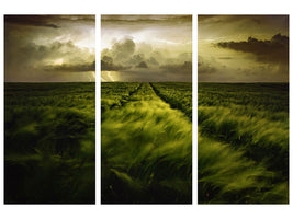 3-piece-canvas-print-journey-to-the-fierce-storm