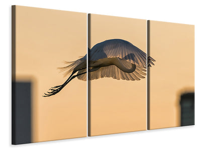 3-piece-canvas-print-jumping-with-a-golden-parachute