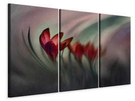 3-piece-canvas-print-krokus