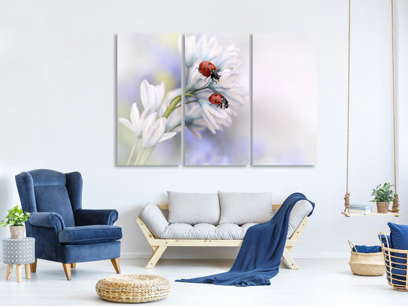 3-piece-canvas-print-ladybirds