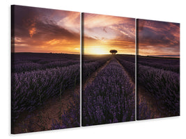 3-piece-canvas-print-lavender-sunset