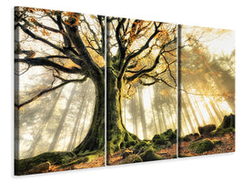 3-piece-canvas-print-november