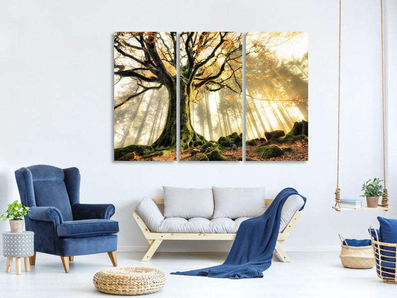 3-piece-canvas-print-november