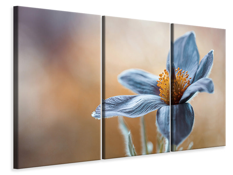 3-piece-canvas-print-pasque