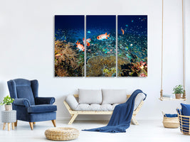 3-piece-canvas-print-reef-lifeii