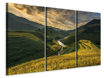 3-piece-canvas-print-riceterrace