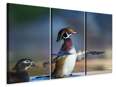 3-piece-canvas-print-showing-off