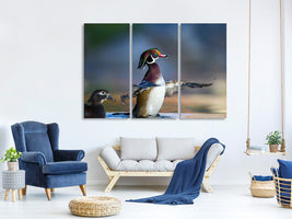 3-piece-canvas-print-showing-off