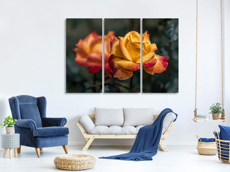 3-piece-canvas-print-the-rose-in-the-garden