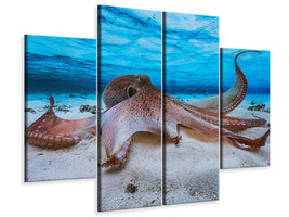 4-piece-canvas-print-octopus