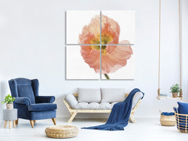 4-piece-canvas-print-poppy