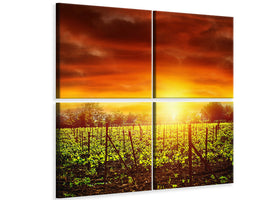 4-piece-canvas-print-the-vineyard-at-sunset