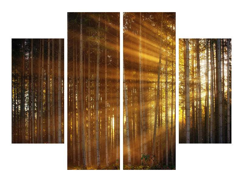 4-piece-canvas-print-trees-in-sunbeams