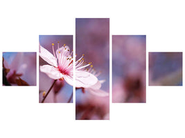 5-piece-canvas-print-close-up-cherry-blossom