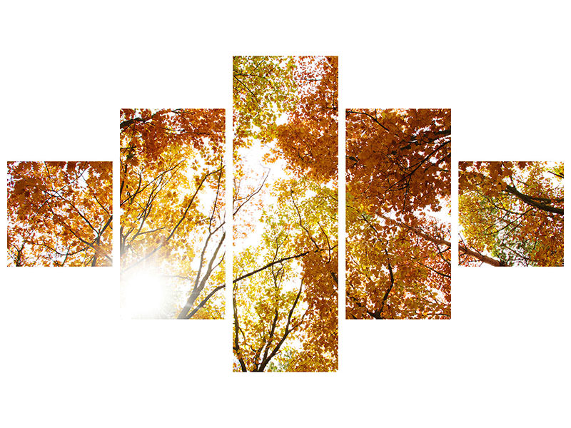5-piece-canvas-print-enlightened-autumn-trees