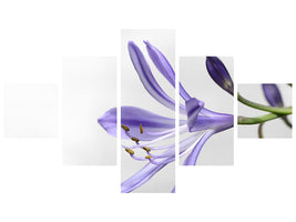 5-piece-canvas-print-lily-flower-in-purple