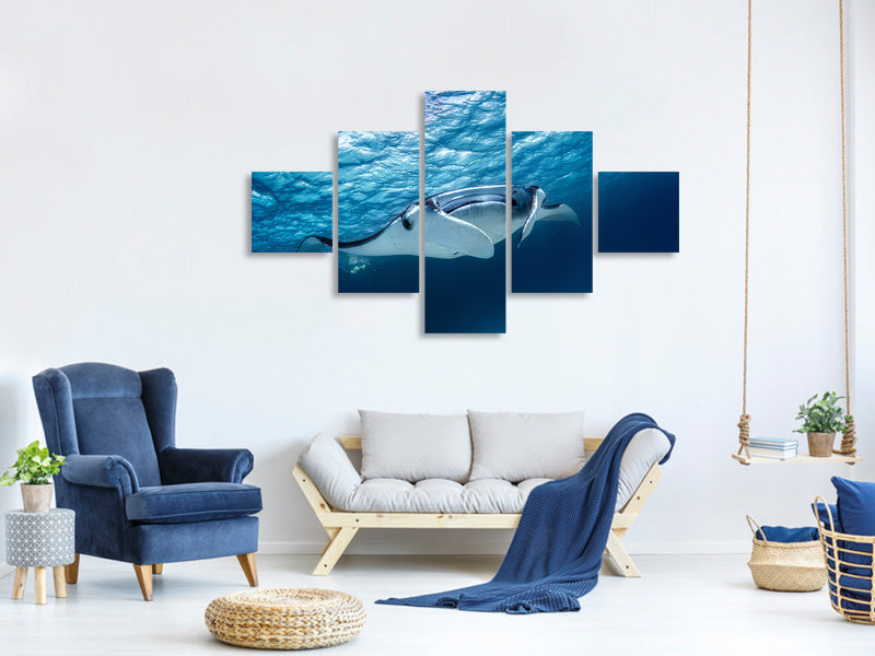 5-piece-canvas-print-manta-ray