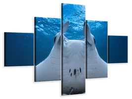 5-piece-canvas-print-take-off-manta-airline