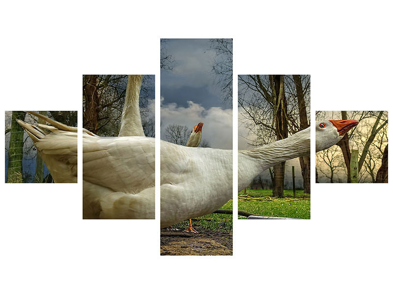 5-piece-canvas-print-the-3-geese