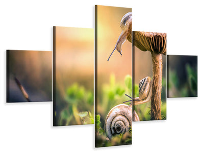 5-piece-canvas-print-the-awakening-of-snails