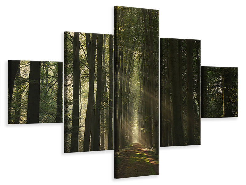 5-piece-canvas-print-the-essential
