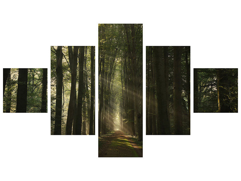 5-piece-canvas-print-the-essential