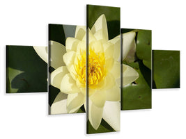 5-piece-canvas-print-the-water-lily-in-yellow