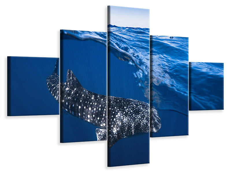 5-piece-canvas-print-whale-shark-on-split-level