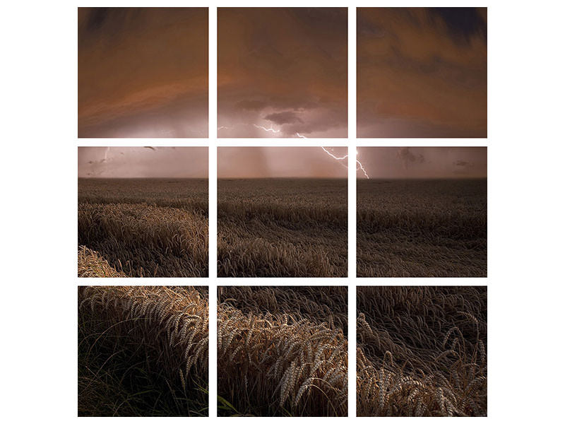 9-piece-canvas-print-harvest-lights