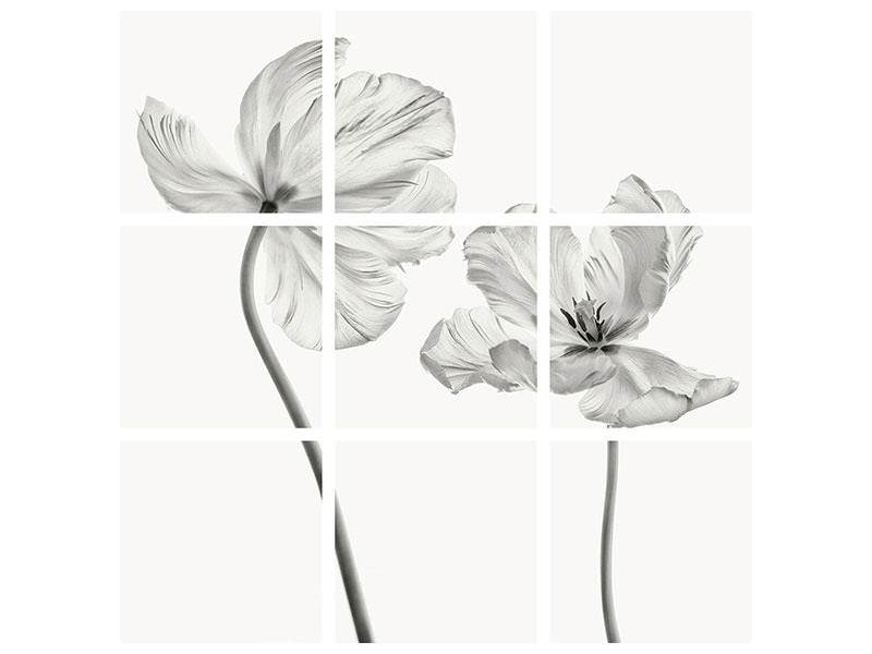 9-piece-canvas-print-same-tulip-front-and-backview