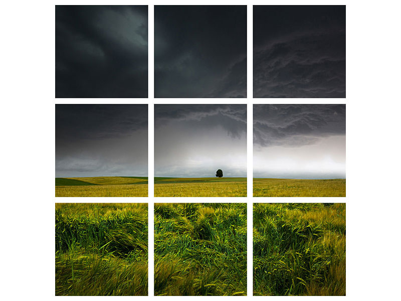 9-piece-canvas-print-sommergewitter