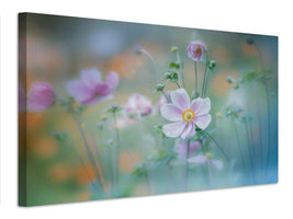 canvas-print-anemone-x