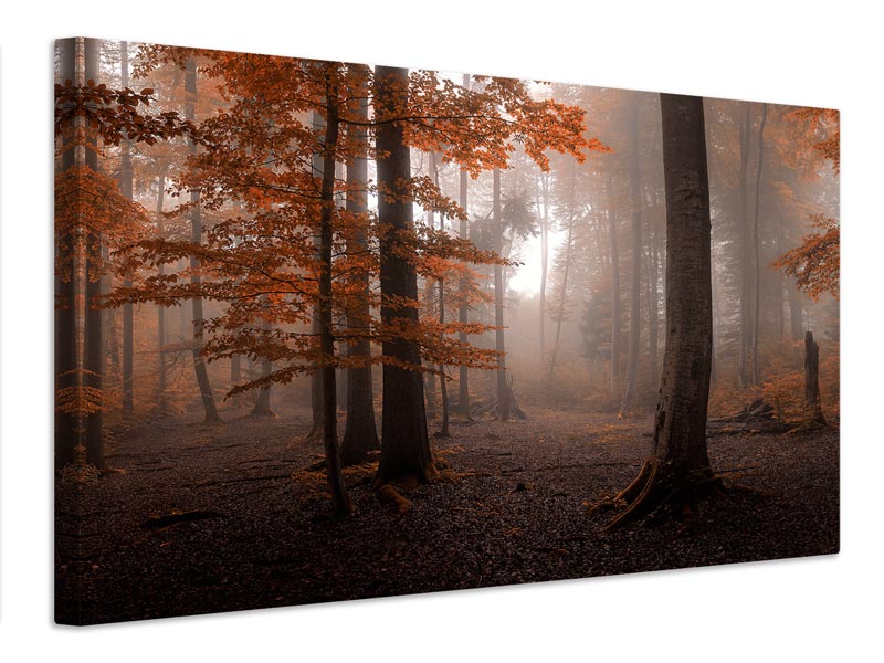 canvas-print-autumn-xdj