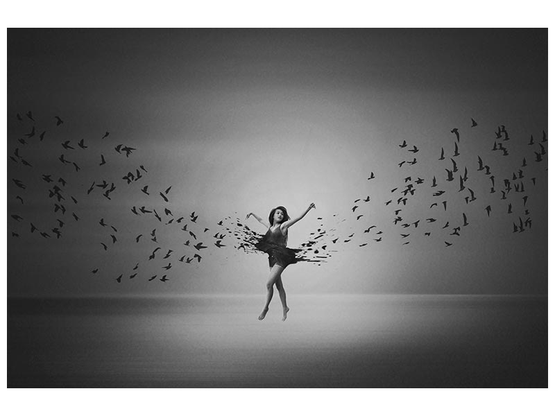 canvas-print-ballerina-flight-of-birds-x