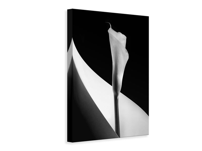 canvas-print-calla-lily-xoq