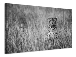 canvas-print-cheetah-xdm