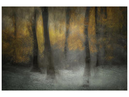 canvas-print-dancing-trees-xip