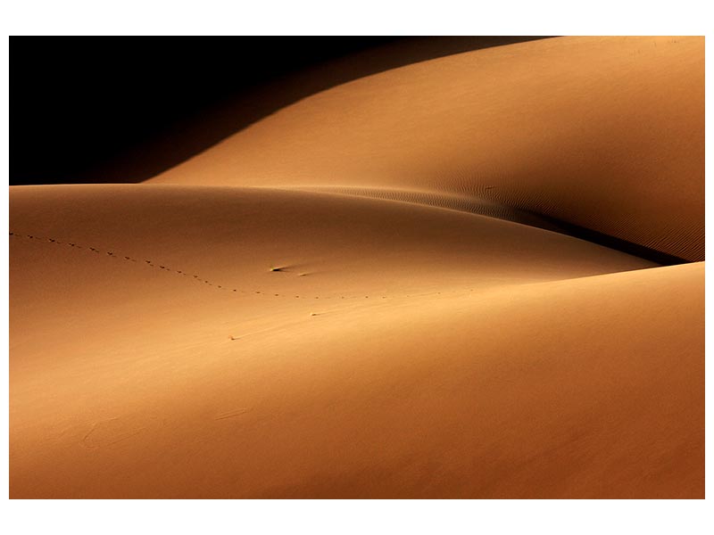 canvas-print-desert-and-the-human-torso-x