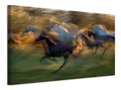 canvas-print-fiery-gallop-x